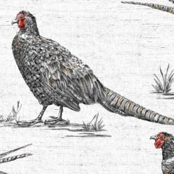 Contour Multicolour Pheasant Smooth Wallpaper -Trade Point Sale contour multicolour pheasant smooth wallpaper5011583513158 03c bq