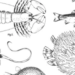 Contour White Ocean Life Monochrome Effect Smooth Wallpaper -Trade Point Sale contour white ocean life monochrome effect smooth wallpaper5011583515213 03c bq