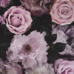 Fresco Pandora Drama Black & Pink Floral Smooth Wallpaper -Trade Point Sale fresco pandora drama black pink floral smooth wallpaper5011583418668 37c BQ