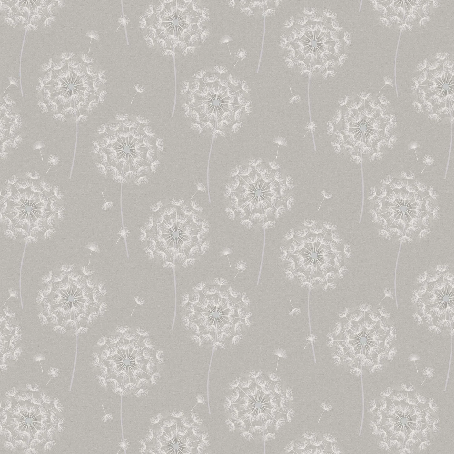 Holden Décor Opus Allora Grey Dandelion Embossed Wallpaper 4 Holden Décor Opus Allora Grey Dandelion Embossed Wallpaper - Image 2