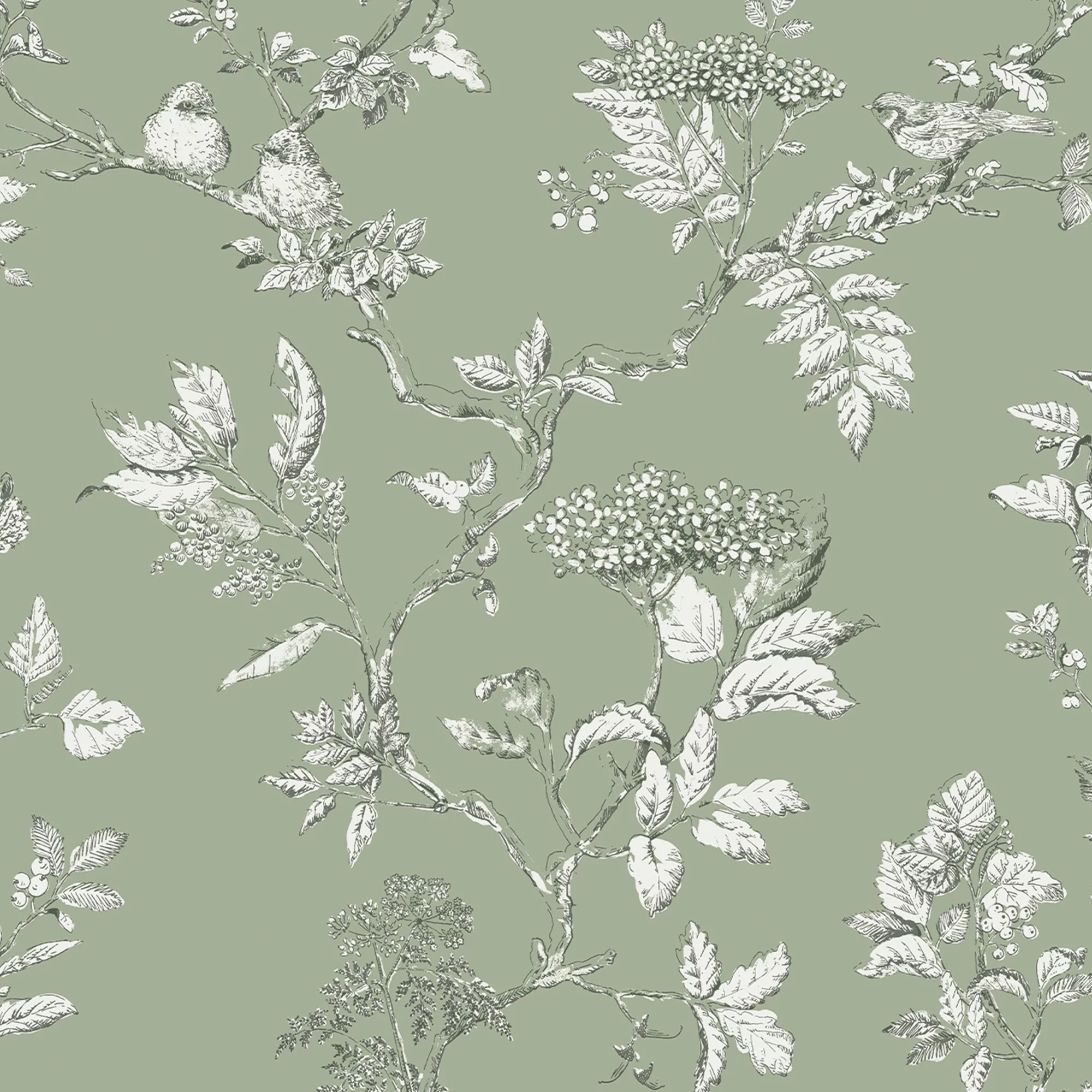 Laura Ashley Elderwood Sage Floral Smooth Wallpaper 4 Laura Ashley Elderwood Sage Floral Smooth Wallpaper - Image 2
