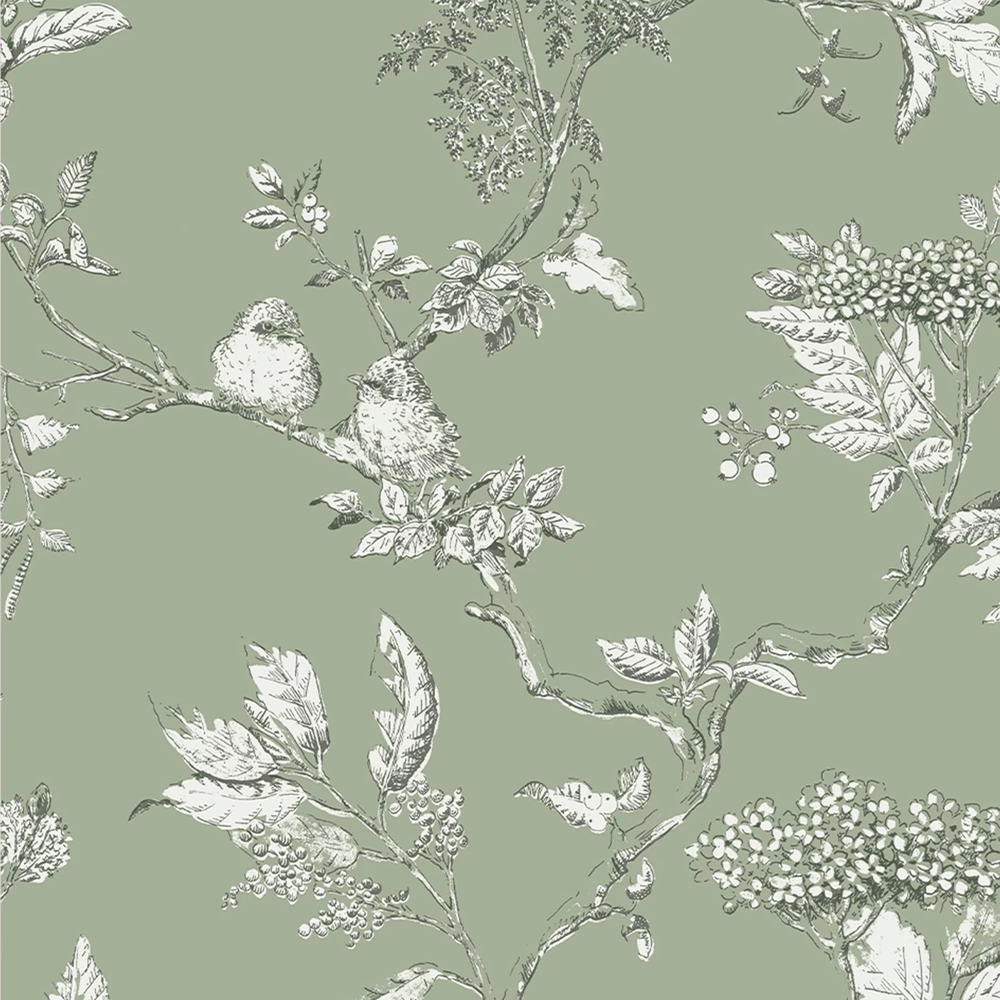 Laura Ashley Elderwood Sage Floral Smooth Wallpaper 5 Laura Ashley Elderwood Sage Floral Smooth Wallpaper - Image 3