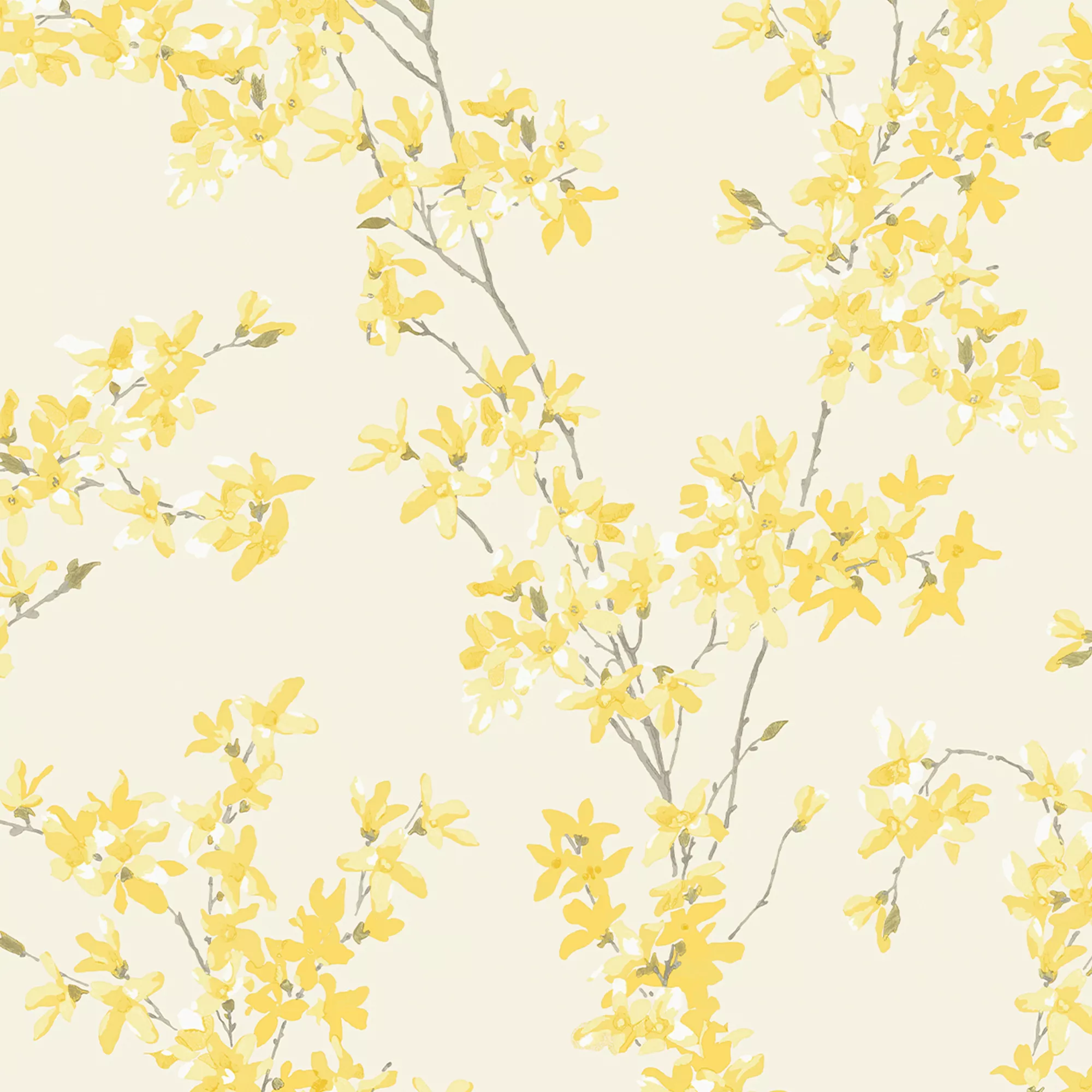 Laura Ashley Forstyhia Sunshine Floral Smooth Wallpaper 3 Laura Ashley Forstyhia Sunshine Floral Smooth Wallpaper