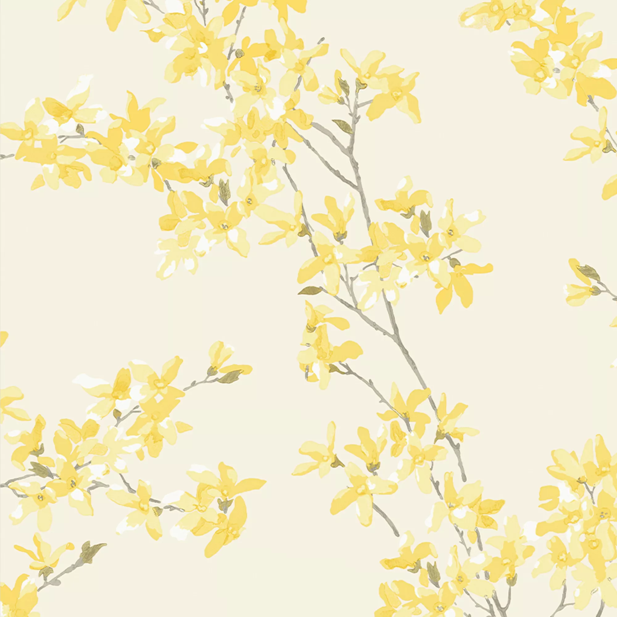 Laura Ashley Forstyhia Sunshine Floral Smooth Wallpaper 5 Laura Ashley Forstyhia Sunshine Floral Smooth Wallpaper - Image 3