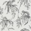 Superfresco Easy Saimiri Grey Monkey Smooth Wallpaper -Trade Point Sale superfresco easy saimiri grey monkey smooth wallpaper5011583383256 02c BQ