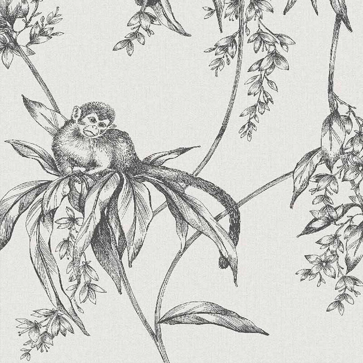 Superfresco Easy Saimiri Grey Monkey Smooth Wallpaper 5 Superfresco Easy Saimiri Grey Monkey Smooth Wallpaper - Image 3