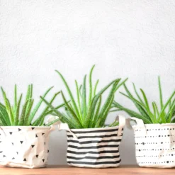 Superfresco White Stipple Textured Wallpaper 12 Superfresco White Stipple Textured Wallpaper -Trade Point Sale superfresco white stipple textured wallpaper5011655002054 20i bq