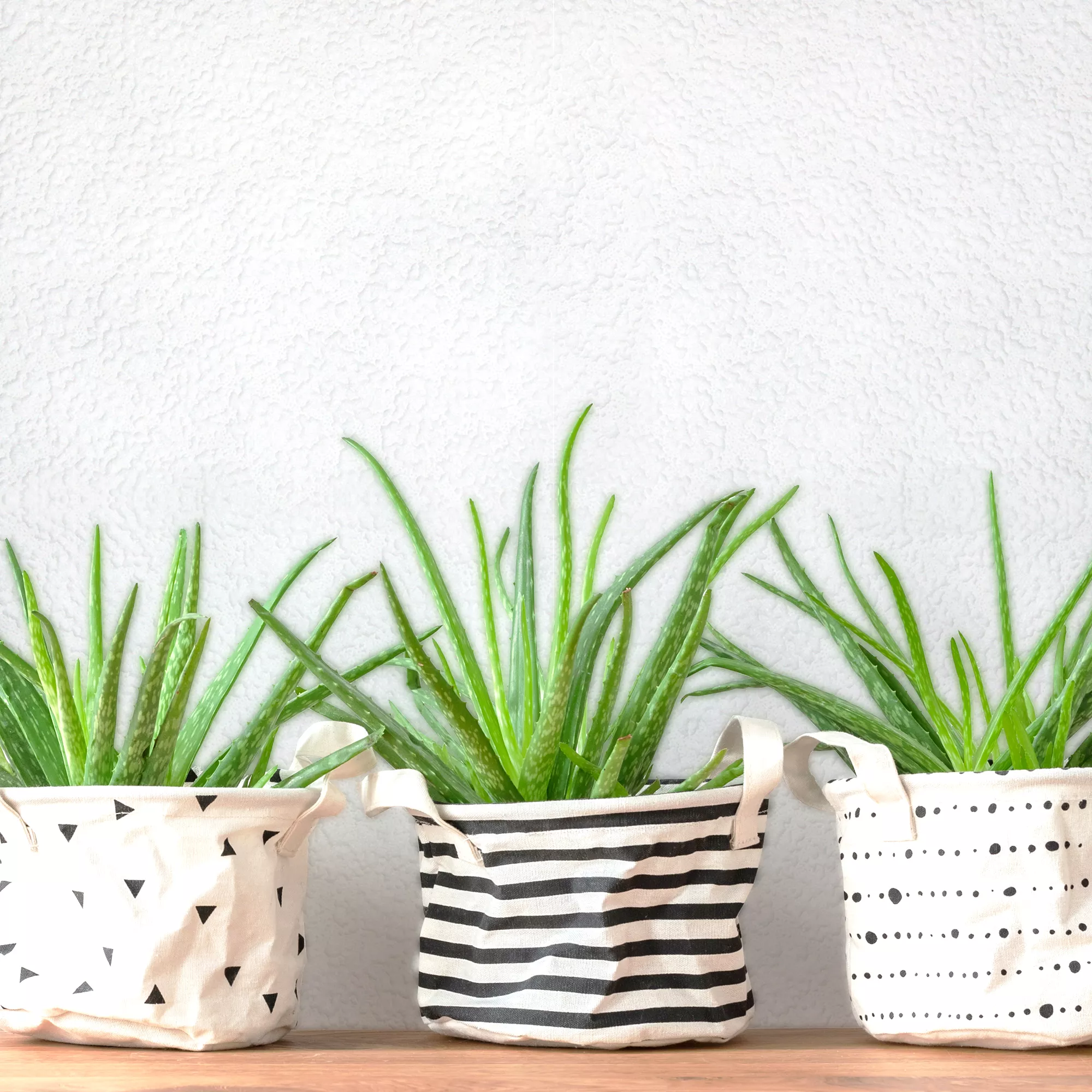 Superfresco White Stipple Textured Wallpaper 6 Superfresco White Stipple Textured Wallpaper - Image 4